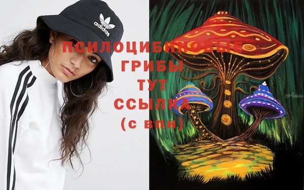 таблы Гусь-Хрустальный