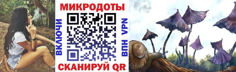 Купить закладки  Канаш  Псилоцибиновые грибы прущие грибы 